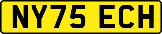 NY75ECH