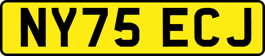 NY75ECJ