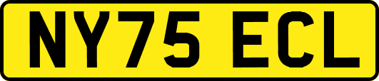 NY75ECL