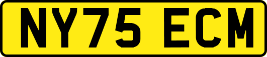NY75ECM