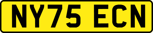 NY75ECN