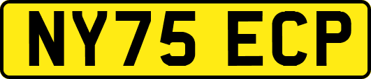 NY75ECP