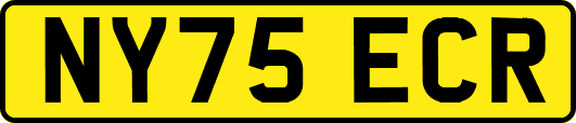 NY75ECR