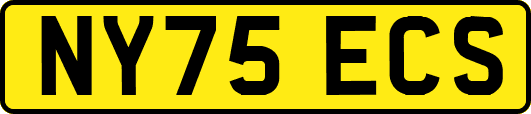 NY75ECS