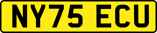NY75ECU