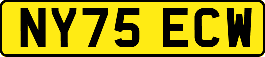 NY75ECW
