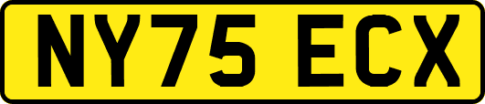 NY75ECX