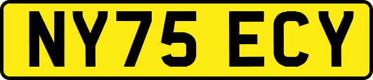 NY75ECY