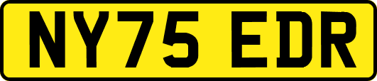 NY75EDR