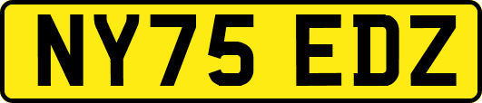 NY75EDZ