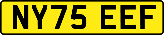 NY75EEF