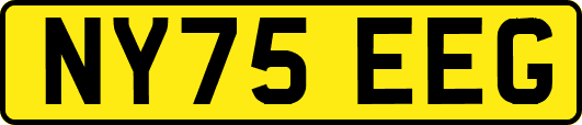 NY75EEG