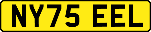 NY75EEL