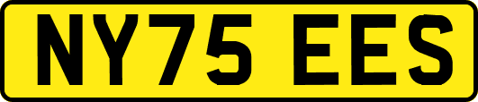 NY75EES