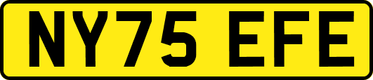 NY75EFE
