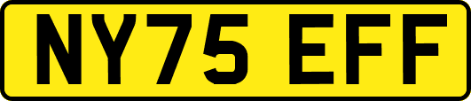 NY75EFF
