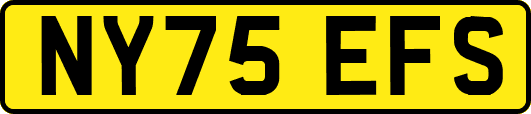 NY75EFS