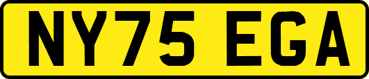 NY75EGA