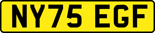 NY75EGF