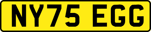 NY75EGG