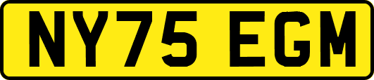 NY75EGM