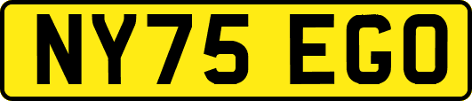 NY75EGO