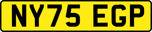 NY75EGP