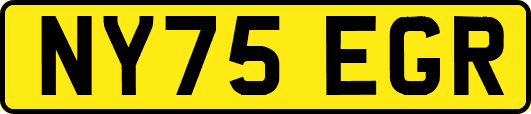 NY75EGR