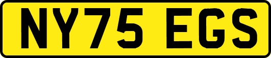 NY75EGS