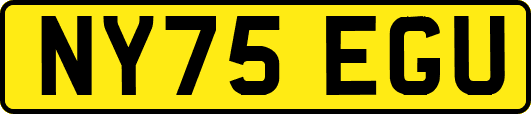 NY75EGU