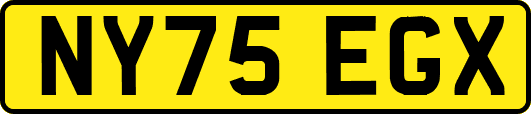 NY75EGX