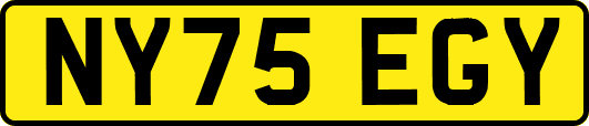 NY75EGY