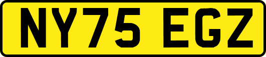 NY75EGZ
