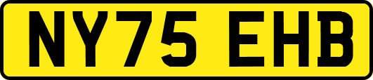 NY75EHB