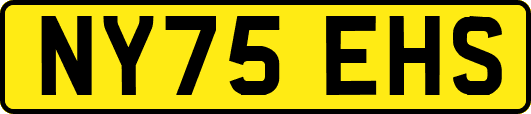 NY75EHS
