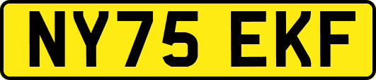 NY75EKF