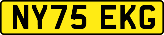 NY75EKG