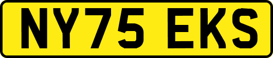 NY75EKS