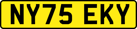 NY75EKY