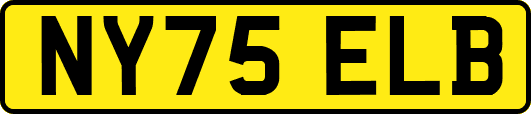 NY75ELB