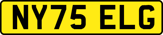 NY75ELG