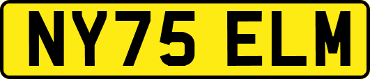 NY75ELM