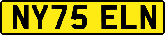NY75ELN