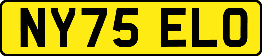 NY75ELO