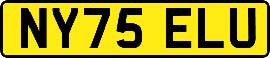 NY75ELU