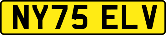 NY75ELV