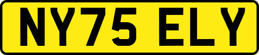 NY75ELY
