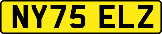 NY75ELZ