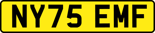 NY75EMF