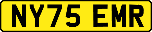 NY75EMR